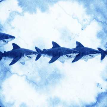 Shark Parade
