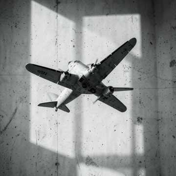 fly