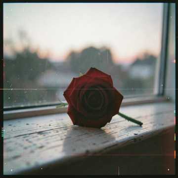 I wonder of you